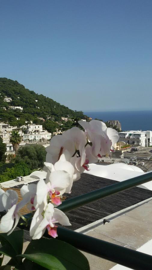 Hotel Casa Costanza Capri Exterior foto